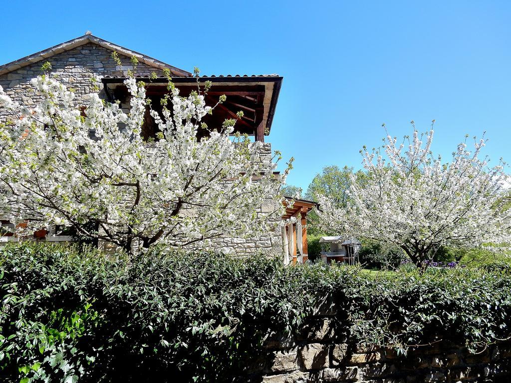 Holiday Home Casa Dei Farfui Momjan Kültér fotó